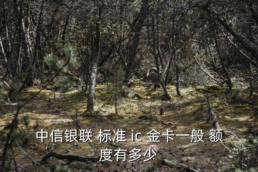 標(biāo)準(zhǔn)ic信用卡金卡額度是多少,建行ic信用卡金卡額度