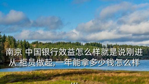 中國(guó)銀行柜員年薪多少錢,北京中國(guó)銀行柜員年薪多少