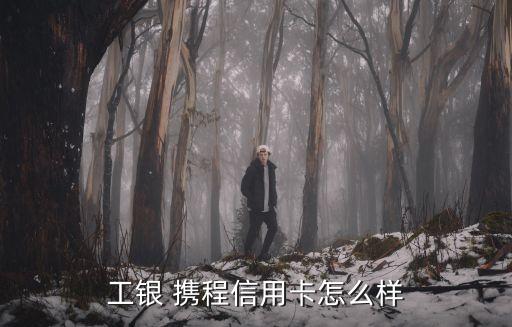 工銀 攜程信用卡怎么樣