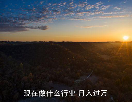 現在做什么行業(yè) 月入過萬