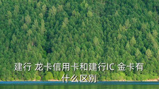 建行 龍卡信用卡和建行IC 金卡有什么區(qū)別