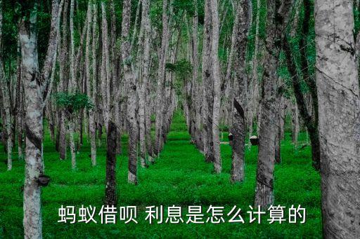  螞蟻借唄 利息是怎么計(jì)算的