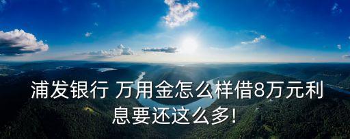 浦發(fā)萬用金多少期劃算