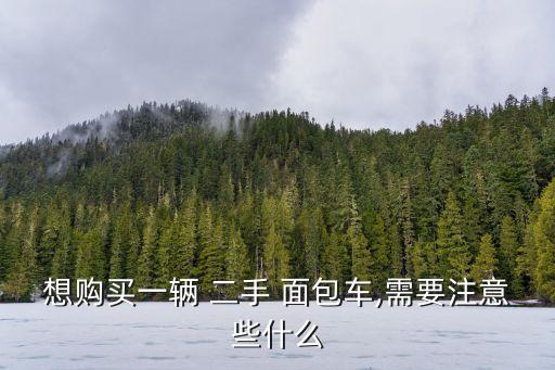 想購買一輛 二手 面包車,需要注意些什么