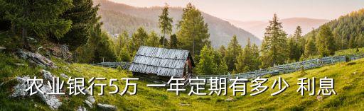 農(nóng)業(yè)銀行5萬 一年定期有多少 利息
