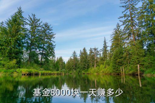 基金每天能賺多少錢,基金1000塊一天賺多少?