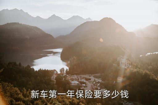 新車貸款保險要多少錢啊