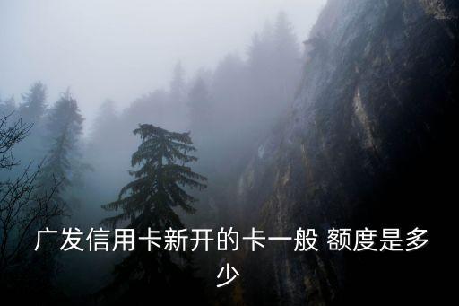  廣發(fā)信用卡新開的卡一般 額度是多少