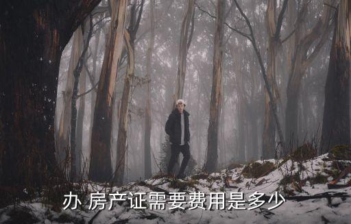 辦 房產(chǎn)證需要費用是多少