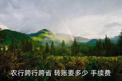 手機農(nóng)業(yè)銀行異地轉(zhuǎn)賬手續(xù)費多少,農(nóng)業(yè)銀行異地同行轉(zhuǎn)賬手續(xù)費怎么收