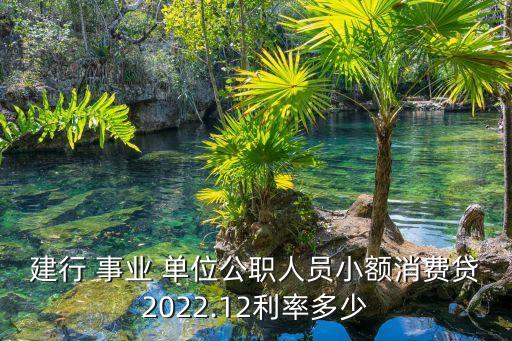 建行 事業(yè) 單位公職人員小額消費貸2022.12利率多少