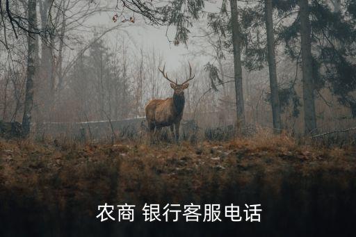 昆山農(nóng)商銀行查詢號(hào)碼多少