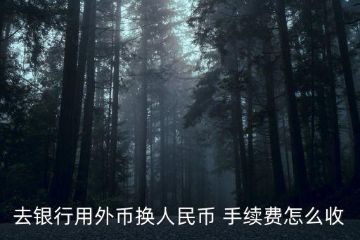 歐元外匯到賬手續(xù)費(fèi)多少錢