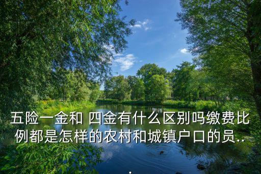 四金最低交多少,2023年上海最低四金是多少