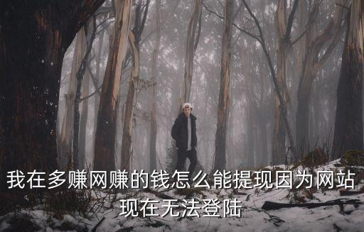 我在多賺網(wǎng)賺的錢(qián)怎么能提現(xiàn)因?yàn)榫W(wǎng)站現(xiàn)在無(wú)法登陸