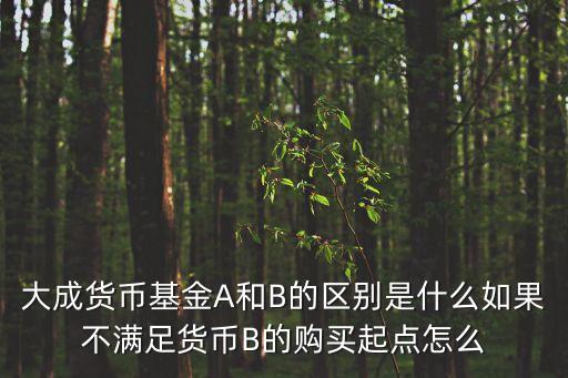 大成貨幣基金A和B的區(qū)別是什么如果不滿足貨幣B的購(gòu)買起點(diǎn)怎么