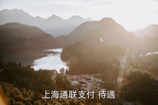 通聯(lián)支付工資怎么樣，通聯(lián)支付網(wǎng)絡(luò)服務(wù)股份有限公司怎么樣