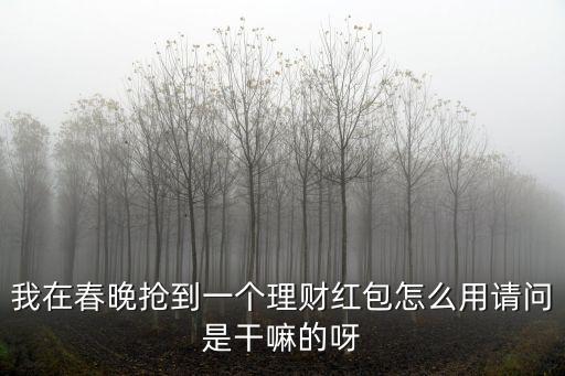 唐小僧理財(cái)紅包怎么用，我在春晚搶到一個(gè)理財(cái)紅包怎么用請問是干嘛的呀