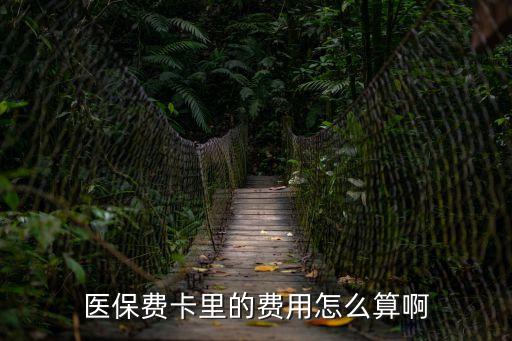 醫(yī)?？ㄥX怎么算，醫(yī)保費(fèi)卡里的費(fèi)用怎么算啊