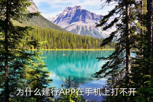 手機建行打不開怎么辦，為什么建行APP在手機上打不開
