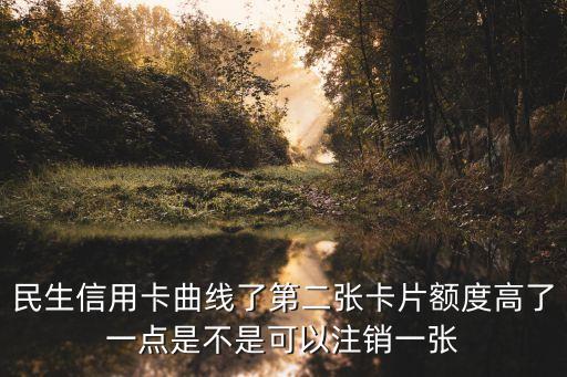 民生曲線下的卡怎么辦，民生信用卡曲線了第二張卡片額度高了一點是不是可以注銷一張