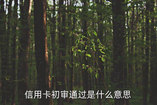 信用卡怎么是初審，興業(yè)銀行信用卡通過(guò)初審是什么意思