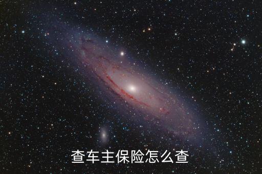 查車主保險(xiǎn)怎么查