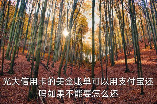 光大信用卡的美金賬單可以用支付寶還嗎如果不能要怎么還