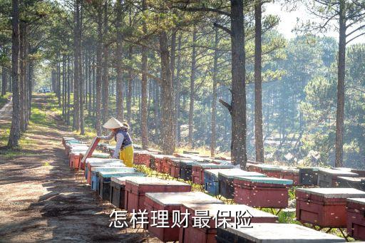 怎樣理財(cái)最保險(xiǎn)