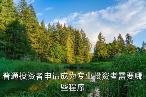 專業(yè)投資怎么做，如何做一個好的投資者