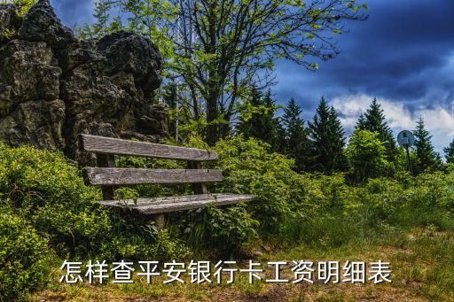 怎樣查平安銀行卡工資明細表