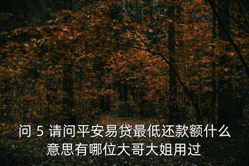問 5 請問平安易貸最低還款額什么意思有哪位大哥大姐用過