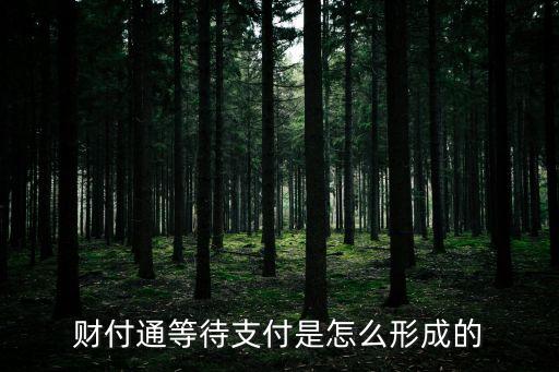 財(cái)付通等待支付是怎么形成的