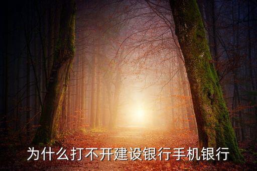 為什么打不開(kāi)建設(shè)銀行手機(jī)銀行