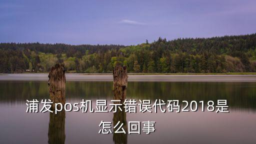 浦發(fā)pos機(jī)顯示錯誤代碼2018是怎么回事