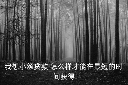 我想小額貸款 怎么樣才能在最短的時間獲得