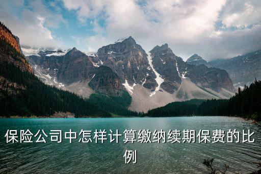 車險續(xù)費怎么算，保險公司中怎樣計算繳納續(xù)期保費的比例