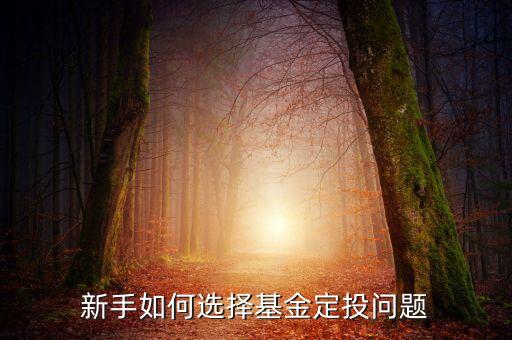 新手如何選擇基金定投問(wèn)題