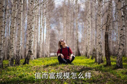 信額富怎么樣，信而富貸款怎么樣