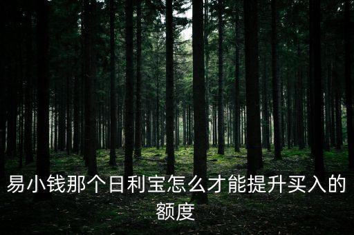 易小錢那個(gè)日利寶怎么才能提升買入的額度