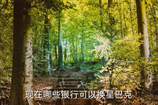 浦發(fā)怎么可以星巴克，上海浦發(fā)銀行外高橋支行的地址