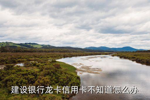 建行龍卡 怎么辦，建行的龍卡大學(xué)生卡怎么辦啊