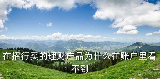 招行理財(cái)怎么看不到，招行理財(cái)8166為什么今天看不到