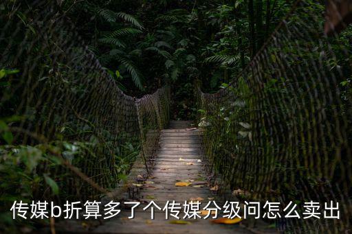 傳媒b下折怎么辦，創(chuàng)業(yè)板 b要下折如何是好