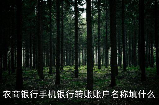 農(nóng)商銀行手機(jī)銀行轉(zhuǎn)賬賬戶名稱填什么