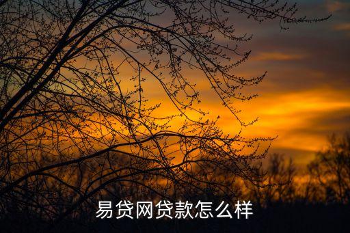 易貸網(wǎng)貸款怎么樣