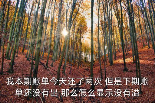 溢繳款沒顯示怎么辦，我本期賬單今天還了兩次 但是下期賬單還沒有出 那么怎么顯示沒有溢