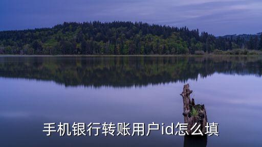 手機轉(zhuǎn)賬說賬戶名稱怎么填，求幫助 賬戶名稱如何填