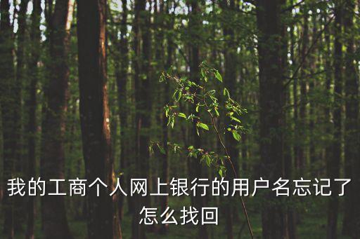 我的工商個人網(wǎng)上銀行的用戶名忘記了怎么找回