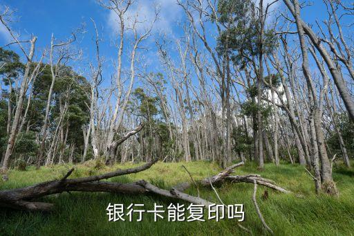 銀行卡能復(fù)印嗎